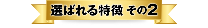 選ばれる特徴 その2